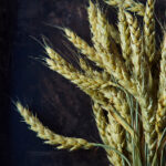 301开奖结果今日揭晓,最新中奖号码全面公布 1nu3fw