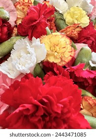 119开奖直播现场全程高清实时在线观看 119开奖直播现场全程高清实时在线观看