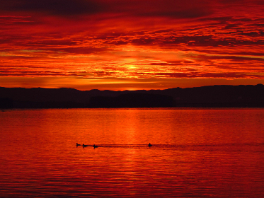 119期开奖结果查询指南:快速获取最新中奖号码 119期开奖结果查询指南:快速获取最新中奖号码