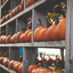 118期最新开奖资料与结果查询完整汇总 7uxvfh