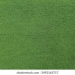 118期斯开奖结果揭晓最新号码公布 88smd113