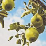 118期开奖结果公布:最新开奖号码与中奖详情 wwt8m